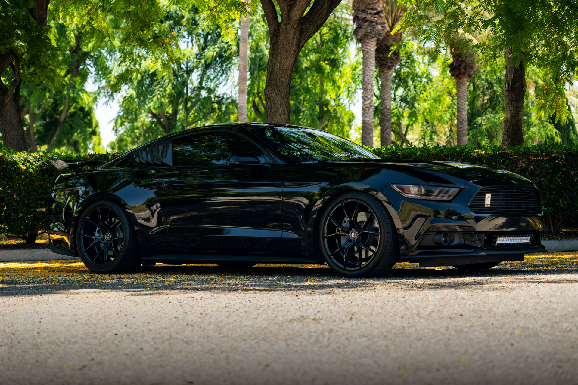 Curva Concepts C42 Aftermarket Wheels on a Blacked Out Ford Mustang GT