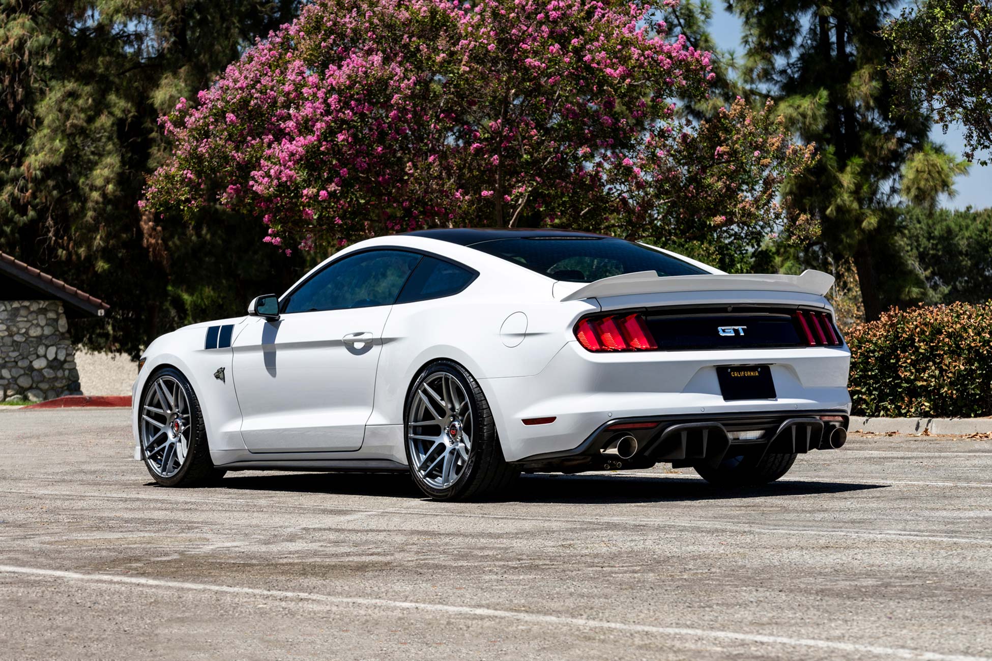 Ford Mustang GT With A Staggered 20x9.5 Front and a 20x10.5 Rear Fitment