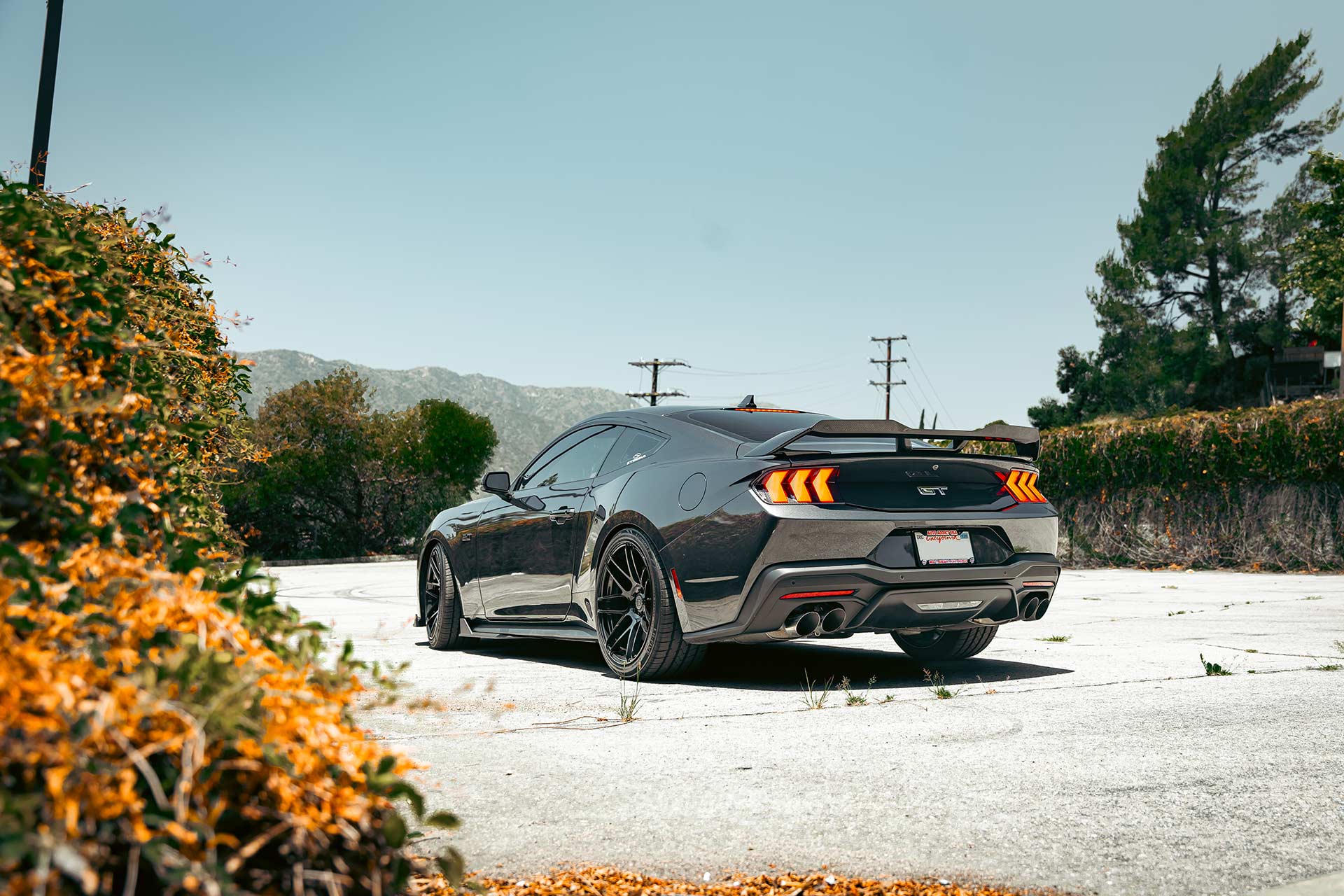 gray ford mustang gt s650 with gloss black cff300 flow forged wheels