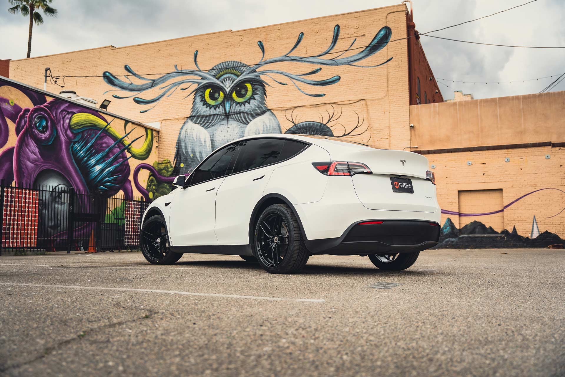 white tesla model y with gloss black cff25 flow forged wheels